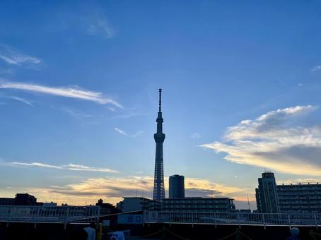 青空にそびえるスカイツリー 青空にそびえるスカイツリーの写真
