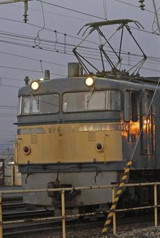 EF65 電気機関車 EF65 電気機関車の写真