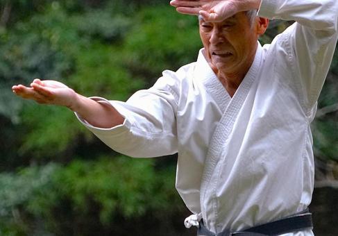 空手（構え①） 空手,形,人の写真素材