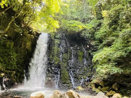滝 滝の写真