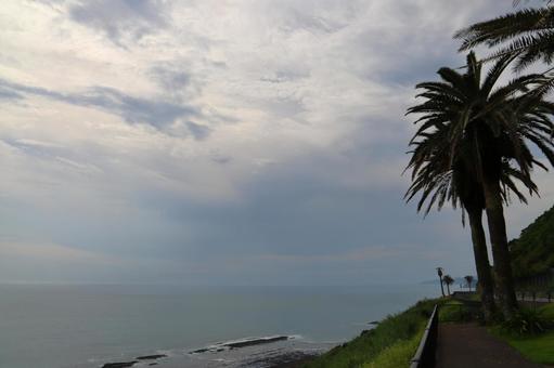 堀切峠 海岸 海 曇り空 堀切峠 海岸 海 曇り空 日南海岸,海岸,空の写真素材