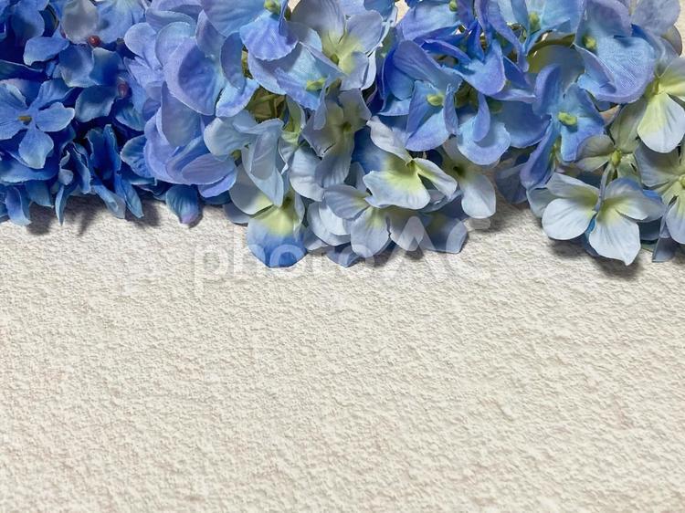 あじさいのフレーム フレーム,6月,紫陽花の写真素材
