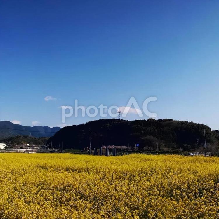 田舎の風景 田舎,風景,景色の写真素材