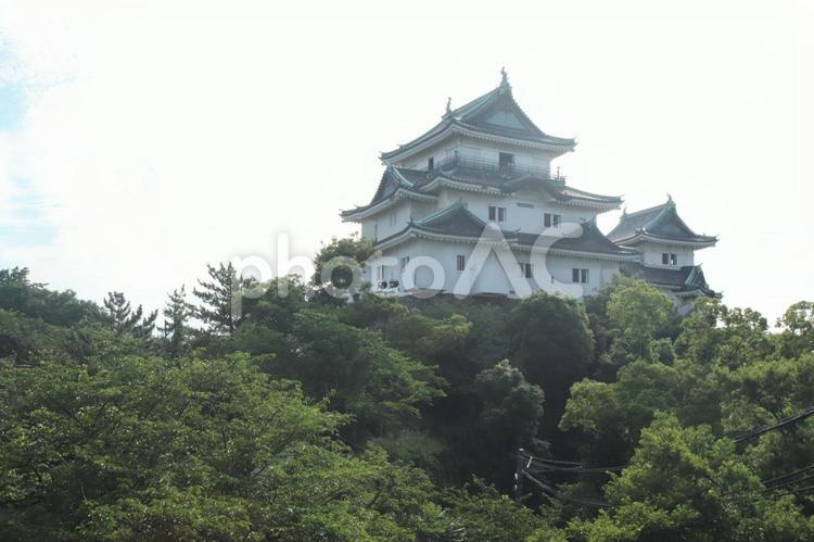 和歌山城 風景,空,木の写真素材