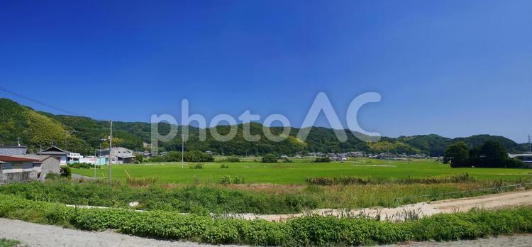夏の田園風景-26 屋外で,草,木々の写真素材