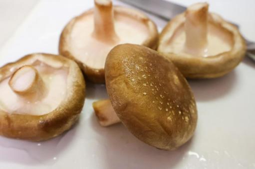 まな板の上の椎茸 椎茸,きのこ,まな板の写真素材