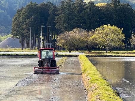 田んぼの代掻き 田んぼ,代掻き,トラクターの写真素材