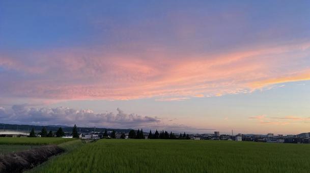 夕焼け 夕焼けの写真