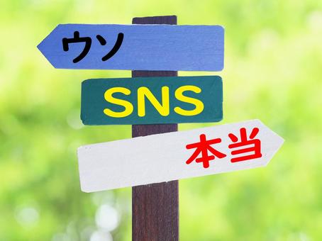 このSNSは本当かウソか、どっちですか 本当,ウソ,snsの写真素材