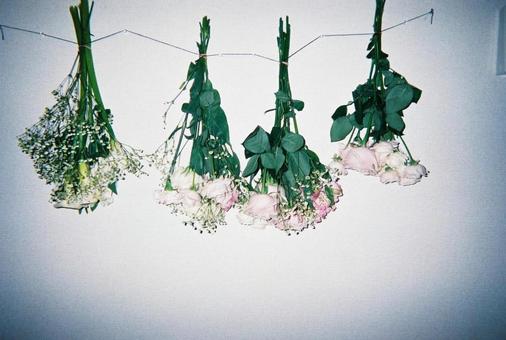 ドライフラワーの写真