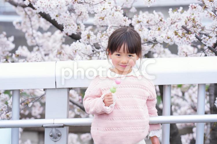 桜の前で三色団子を食べる女の子 女の子,小学生,子どもの写真素材