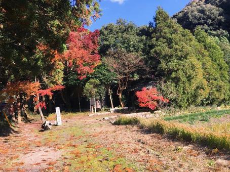光市指定史跡　向山文庫周辺の風景 山口県,光市,指定史跡の写真素材
