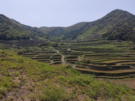 春日の棚田 春日の棚田 あぜ道,春日,棚田の写真素材
