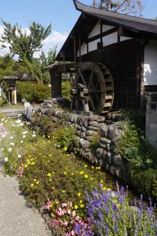 秋の花と水車がある風景 水路,用水路,花の写真素材
