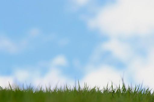 Grass and blue sky, lawn, blue sky, cloud, JPG