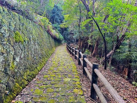 古道 苔 石段 古道 苔 石段 古道,苔,石段の写真素材