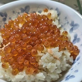 はらこ飯 イクラ はらこ飯 イクラ はらこ飯,イクラ,丼ぶりの写真素材