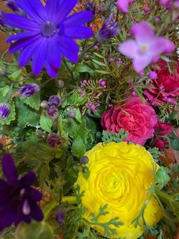 花 花の写真