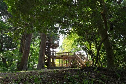 森の中の展望台 加茂山公園,展望台,森の写真素材