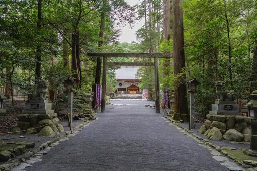 三重　椿大神社　参道と本殿 椿大神社,椿,神社の写真素材
