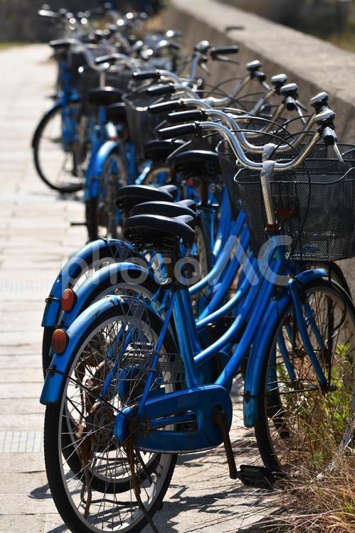 自転車　整列 自転車,整列,乗り物の写真素材