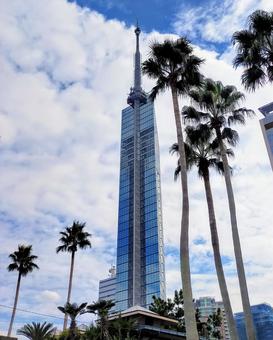 福岡タワー 福岡,百道浜,秋の写真素材