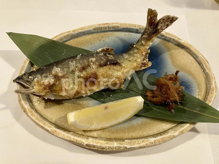 鮎の塩焼き 鮎の塩焼き,旅館,鮎の写真素材
