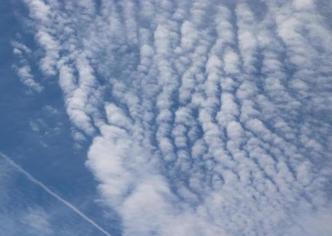 いわし雲 いわし雲の写真
