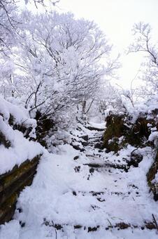 鳥取大山の冬登山23　雪山素材　風景 雪山,登山,危険の写真素材