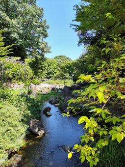 小川 小川 小川,植物,木々の写真素材