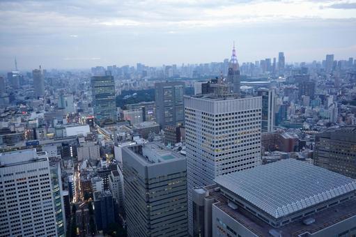 高層ビル群を見下ろす大都会の街並み 高層ビル群を見下ろす大都会の街並み 東京,新宿,ビルの写真素材