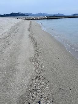 曇り空の砂浜 海,風景,景色の写真素材