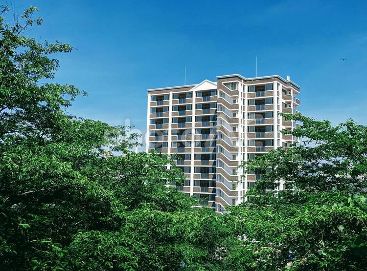 緑の中のマンション 住まい,外壁,ビルの写真素材