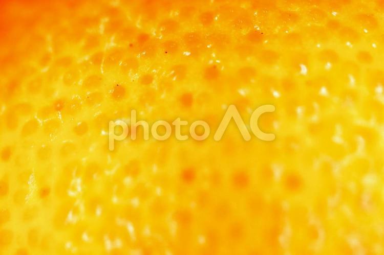 オレンジの皮 オレンジの皮,オレンジ,皮の写真素材