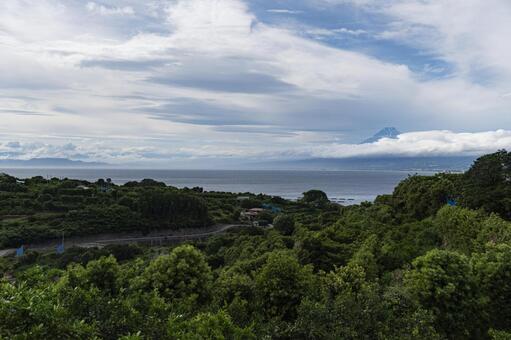 初夏の沼津市西浦地区からみた富士山 富士山,沼津,西浦の写真素材