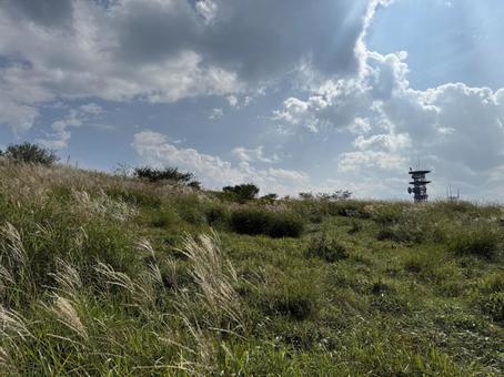 晩夏の高ボッチ高原2025 晩夏の高ボッチ高原2025の写真