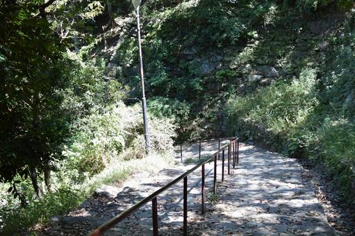 和歌山城公園 階段 和歌山城公園 階段の写真