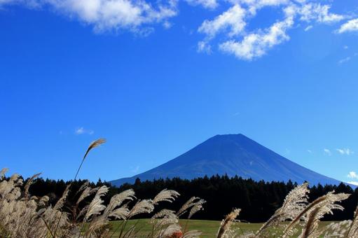秋の富士山 富士山,秋,空背景の写真素材