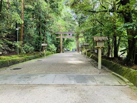 石上神宮 参道 石上神宮 参道の写真