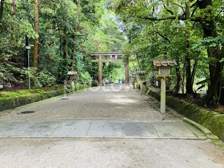 石上神宮　参道 石上神宮,奈良県天理市,十六社の写真素材