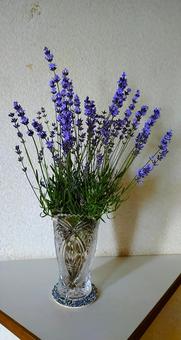 香が満ちる小さな三角コーナーにラベンダー インテリア,ガーデニング,観賞の写真素材