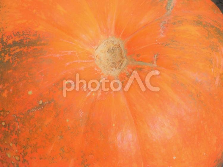 かぼちゃの実 かぼちゃ,ハロウィーン,秋の写真素材