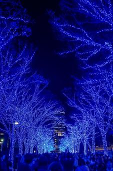 青の洞窟 青の洞窟 青の洞窟,イルミネーション,イベントの写真素材