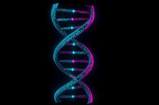 発光二重螺旋の写真