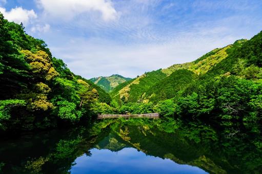 Photo, fresh green, green, landscape, 