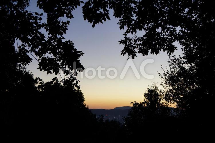 屋島の夕暮れ 木々,夕暮れ,癒しの写真素材
