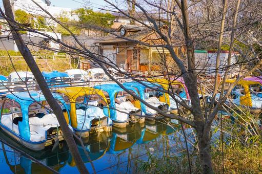 善福寺公園のボート桟橋 善福寺公園のボート桟橋 善福寺公園,ボート,桟橋の写真素材