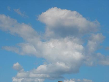 【風景写真】夏空 【風景写真】夏空の写真