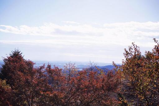 赤く色づく山々から海を望む 山,景色,風景の写真素材