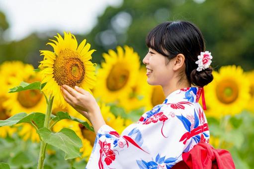 ひまわり畑を散策する浴衣姿の女性 ひまわり畑を散策する浴衣姿の女性の写真